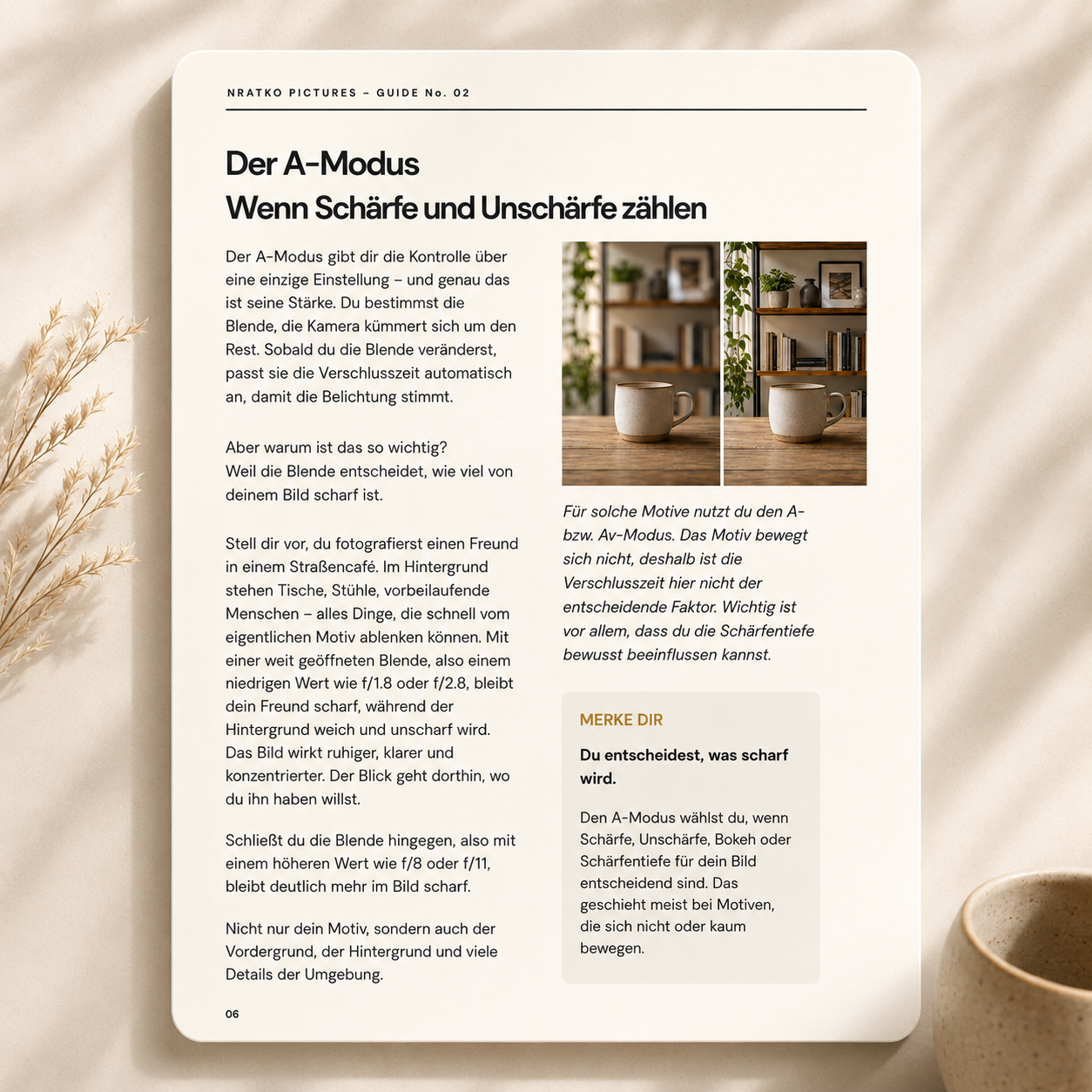 Einblick in den NRATKO Pictures Guide